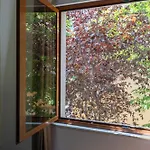 Apartament Center *