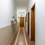 شقة Center