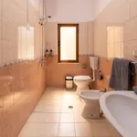 Center شقة