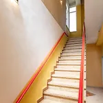Center * تيرانا